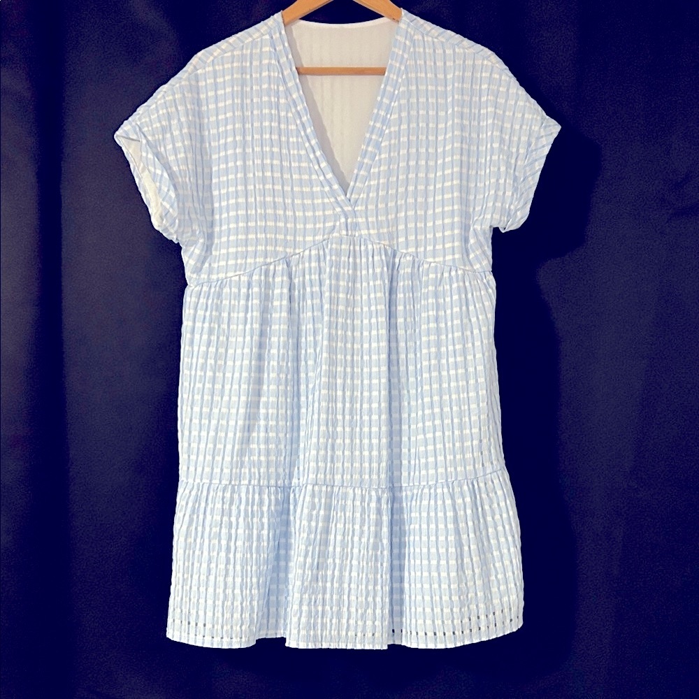 Blue Gingham V-Neck Dress
